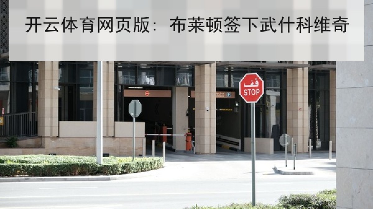 开云体育网页版: 布莱顿签下武什科维奇